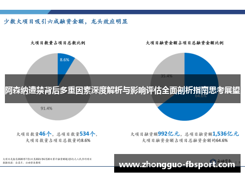 阿森纳遭禁背后多重因素深度解析与影响评估全面剖析指南思考展望
