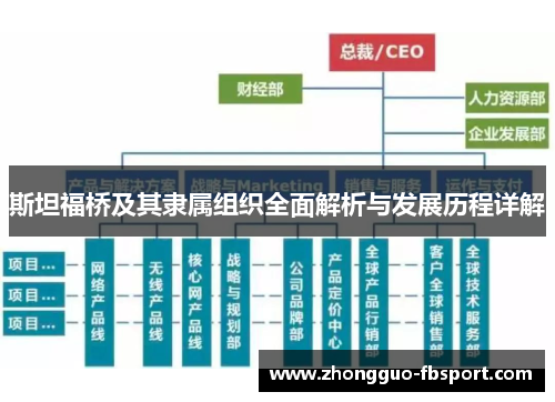 斯坦福桥及其隶属组织全面解析与发展历程详解