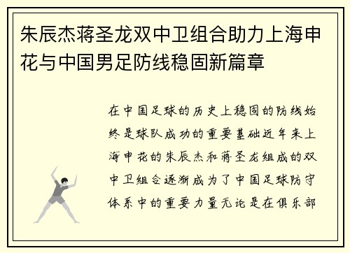 朱辰杰蒋圣龙双中卫组合助力上海申花与中国男足防线稳固新篇章